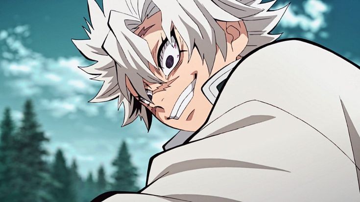 ซาเนมิ ชินาซุกาวะ – ตัวละครที่เข้มแข็งและมีมิติใน Demon Slayer ซาเนมิ ชินาซุกาวะ – ตัวละครที่เข้มแข็งและมีมิติใน Demon Slayer